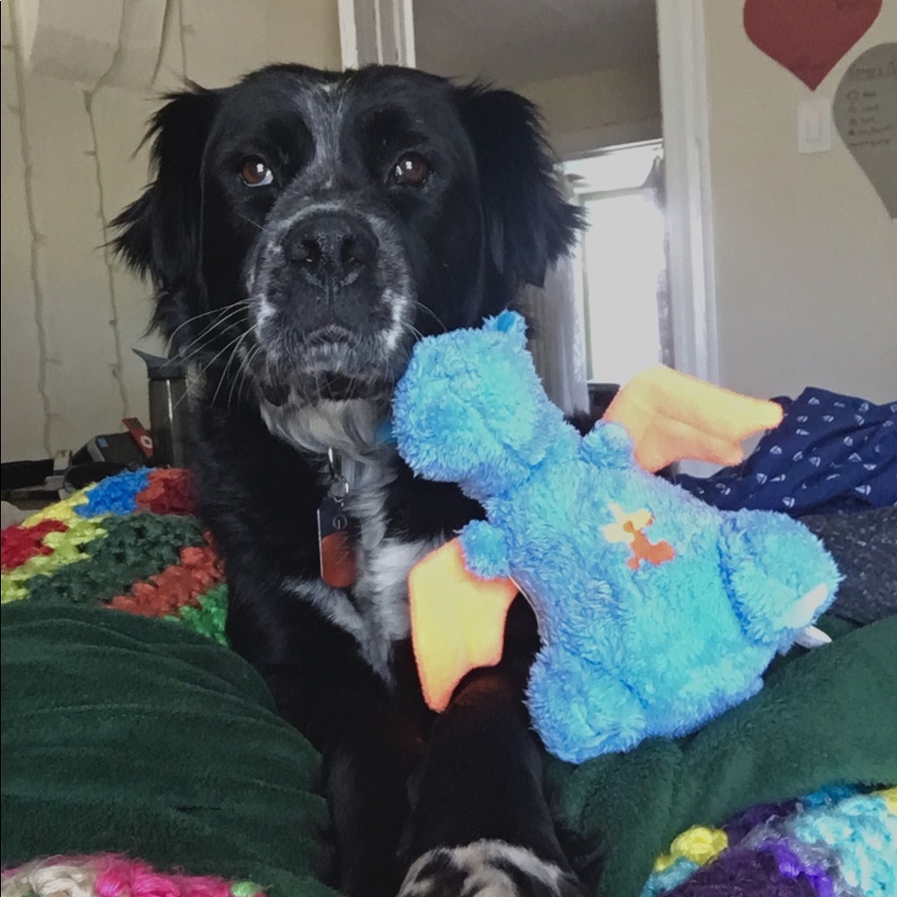 Meet your Posher, Faith